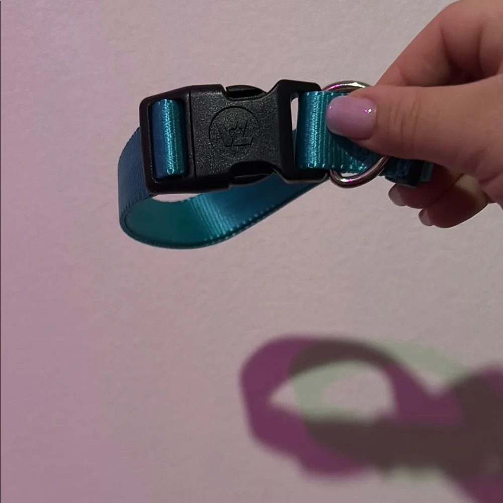 Teal Adjustable Dog Collar